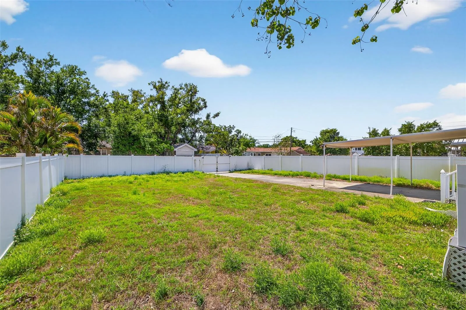 Oversized Backyard