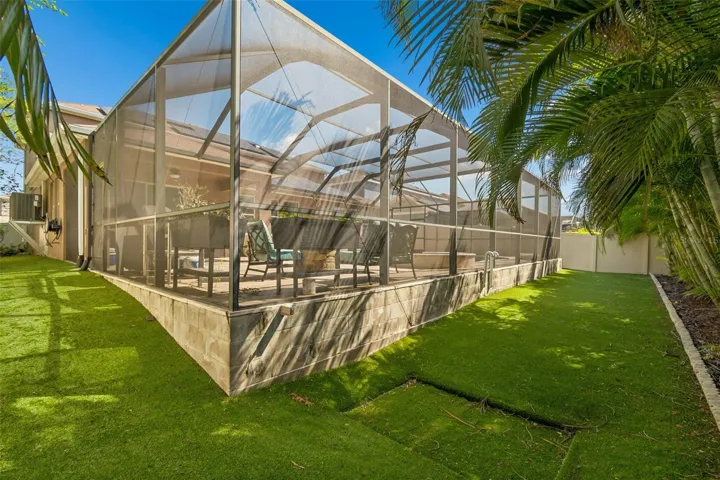 Turf in backyard