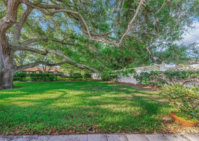 Rear Yard