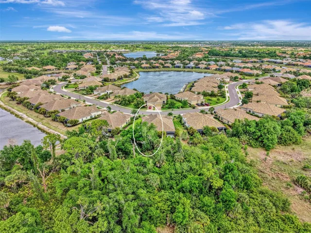 Tropical vegetation surrounds villa