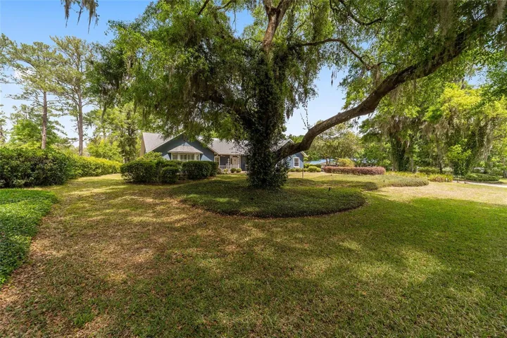 Mature trees
