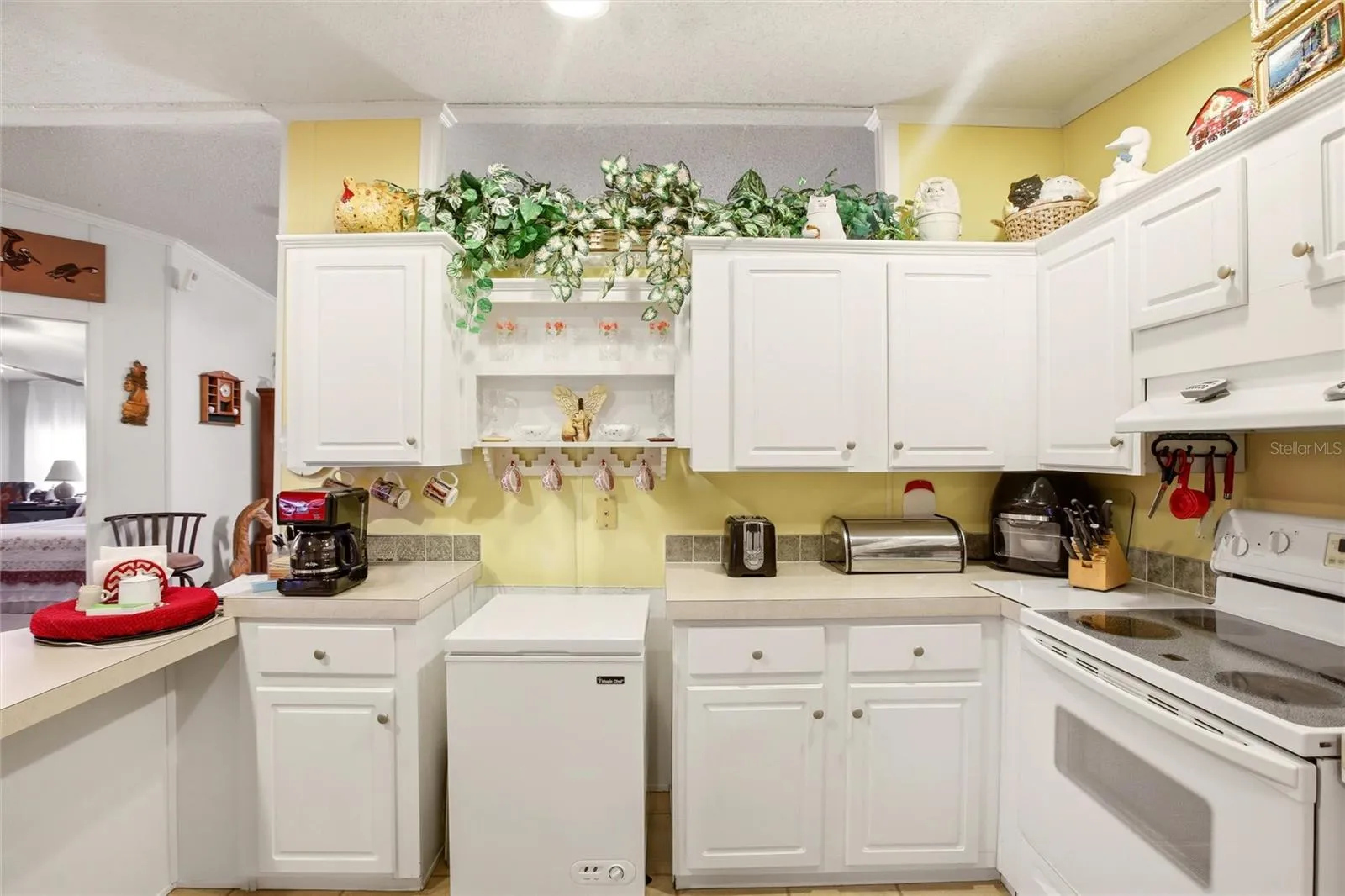 Kitchen extra freezer