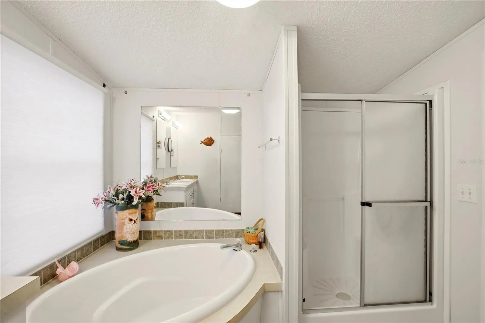 Soaking tub with separate walk-in shower