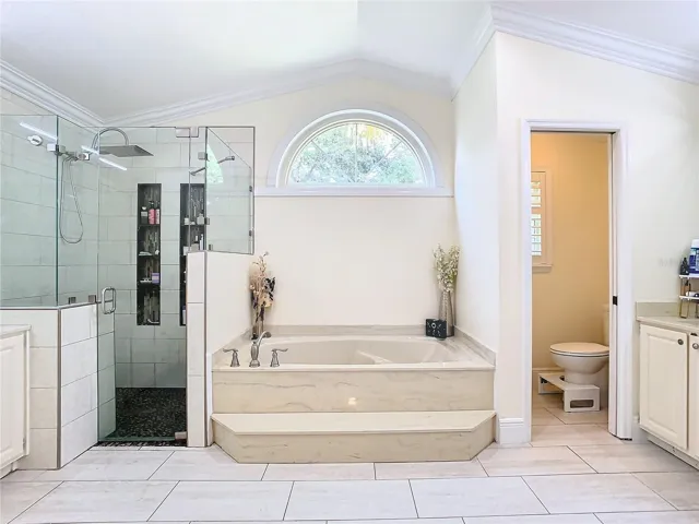 Soaking Tub with Separate Stand Up Shower