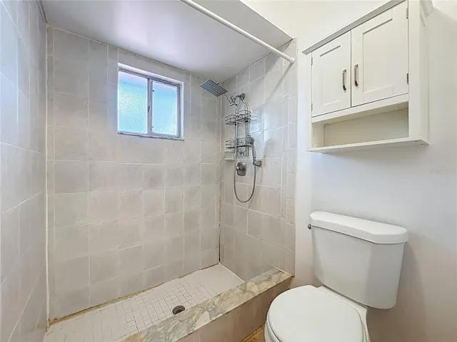 Step in Shower