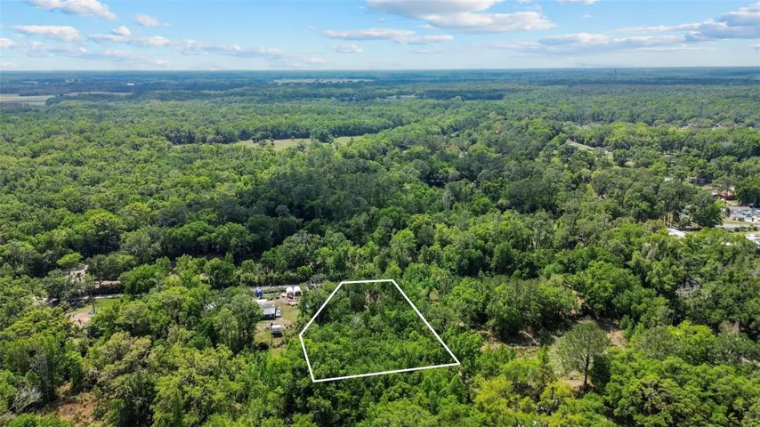 1.56 Acres - Thonotosassa - Land for sale