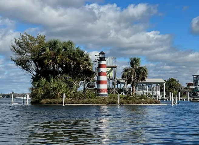 Homosassa Springs - Monkey Island