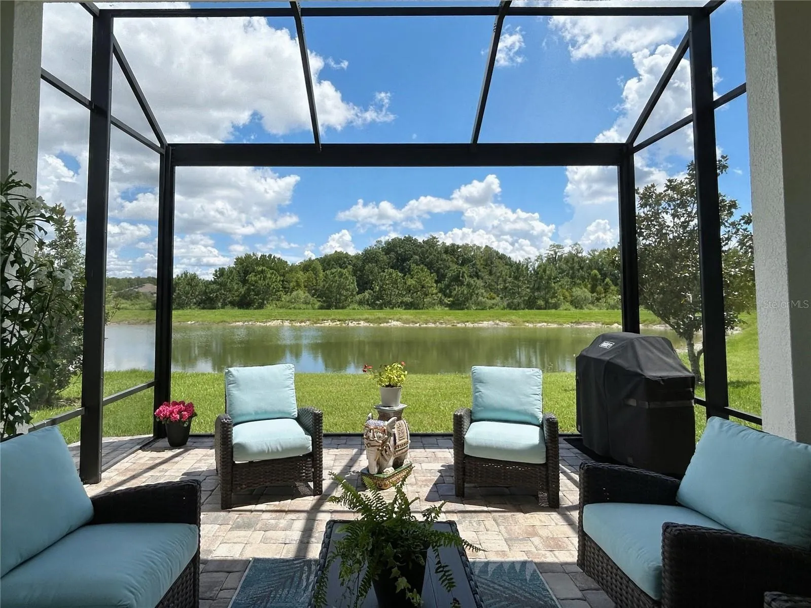 View of Pond and conservation from Lanai
