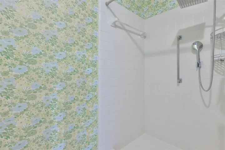 Primary Shower