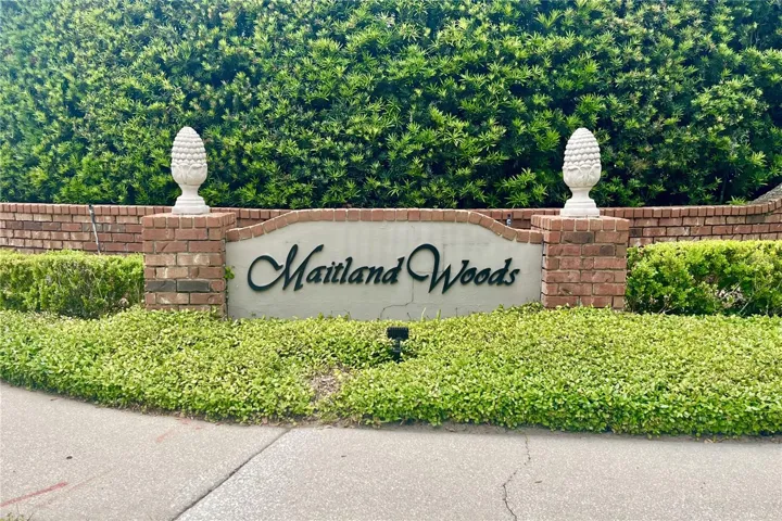 Maitland Woods