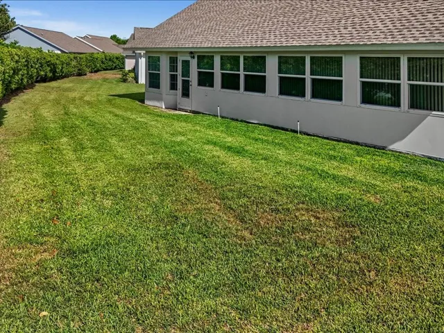 .VIEW OF THE BACKYARD