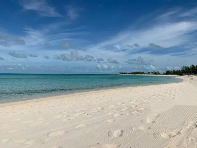 Beach - Anna Maria island.