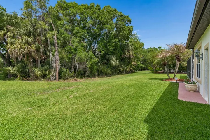 BACKYARD VIEW OF CONSERVATION