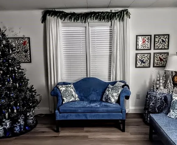Christmas Pictures