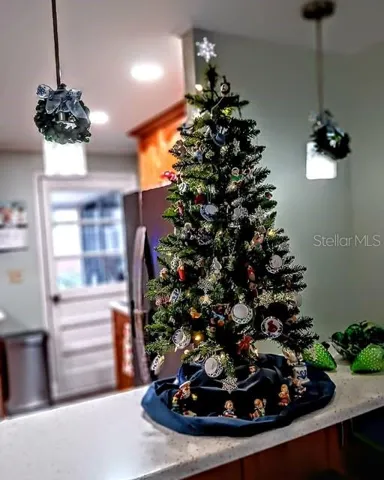 Christmas Pictures