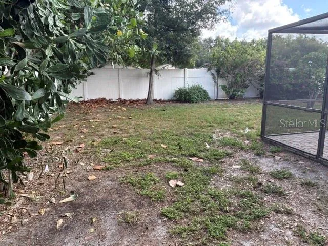 Back Yard