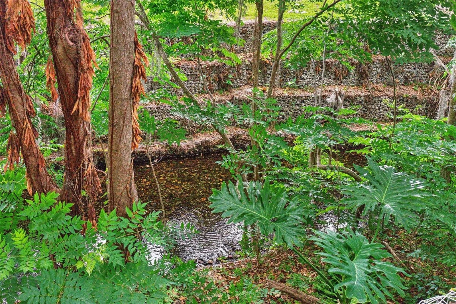 Little Wekiva River