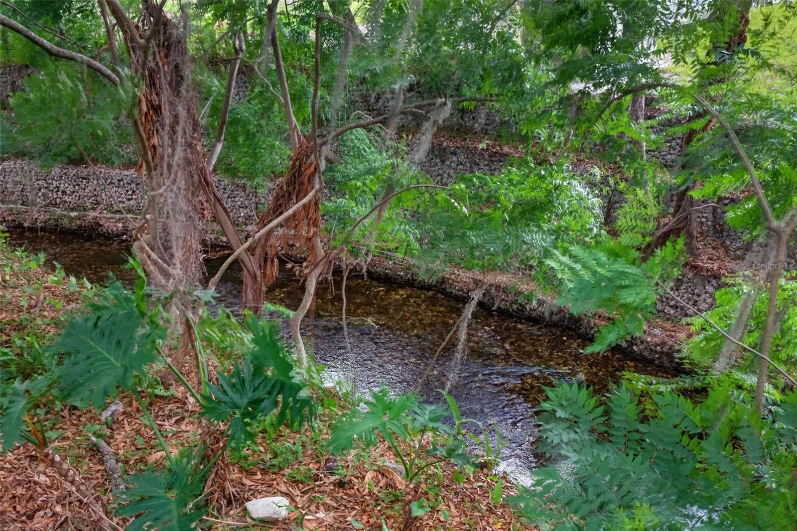 Little Wekiva River