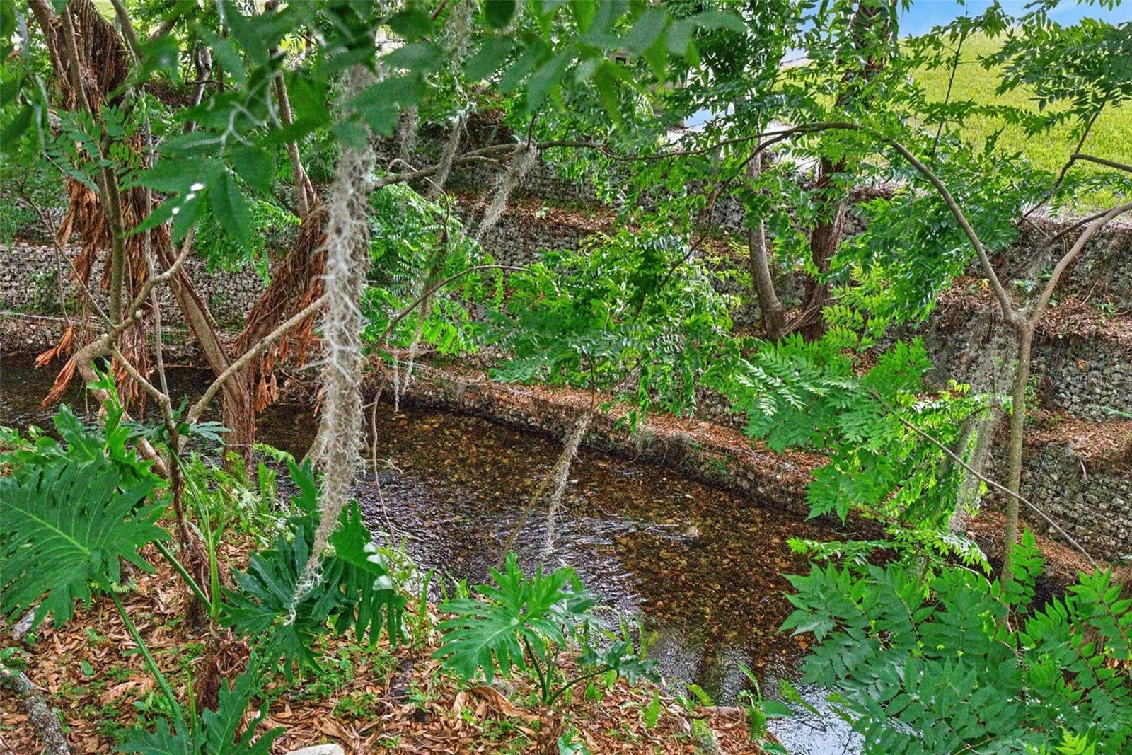 Little Wekiva River