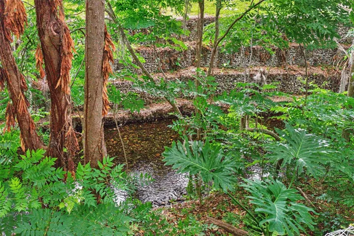 Little Wekiva River