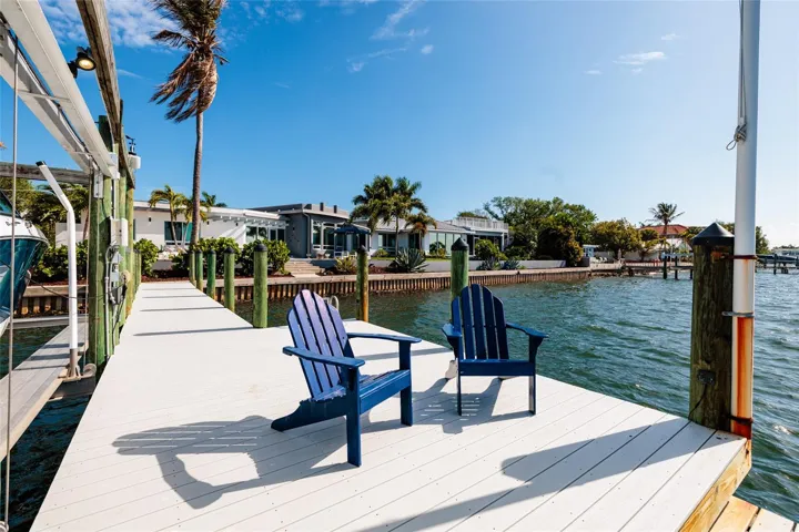 Your new hobby: Watching the dolphins and manatees play!