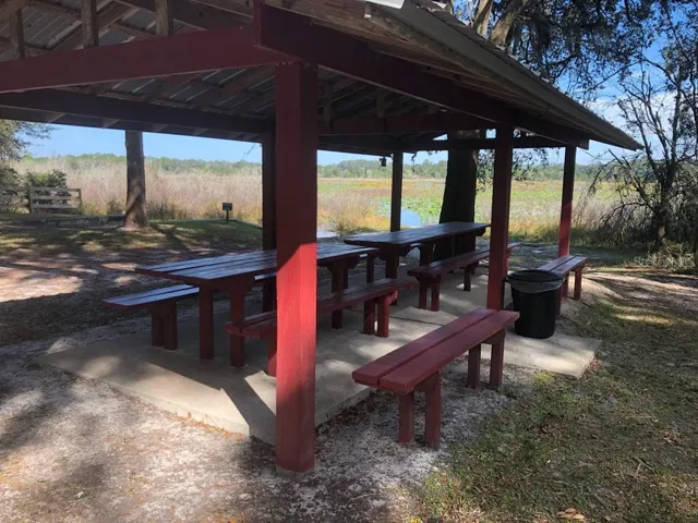 picnic area at the park