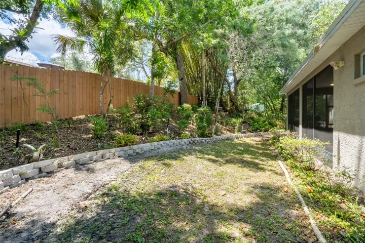 Backyard