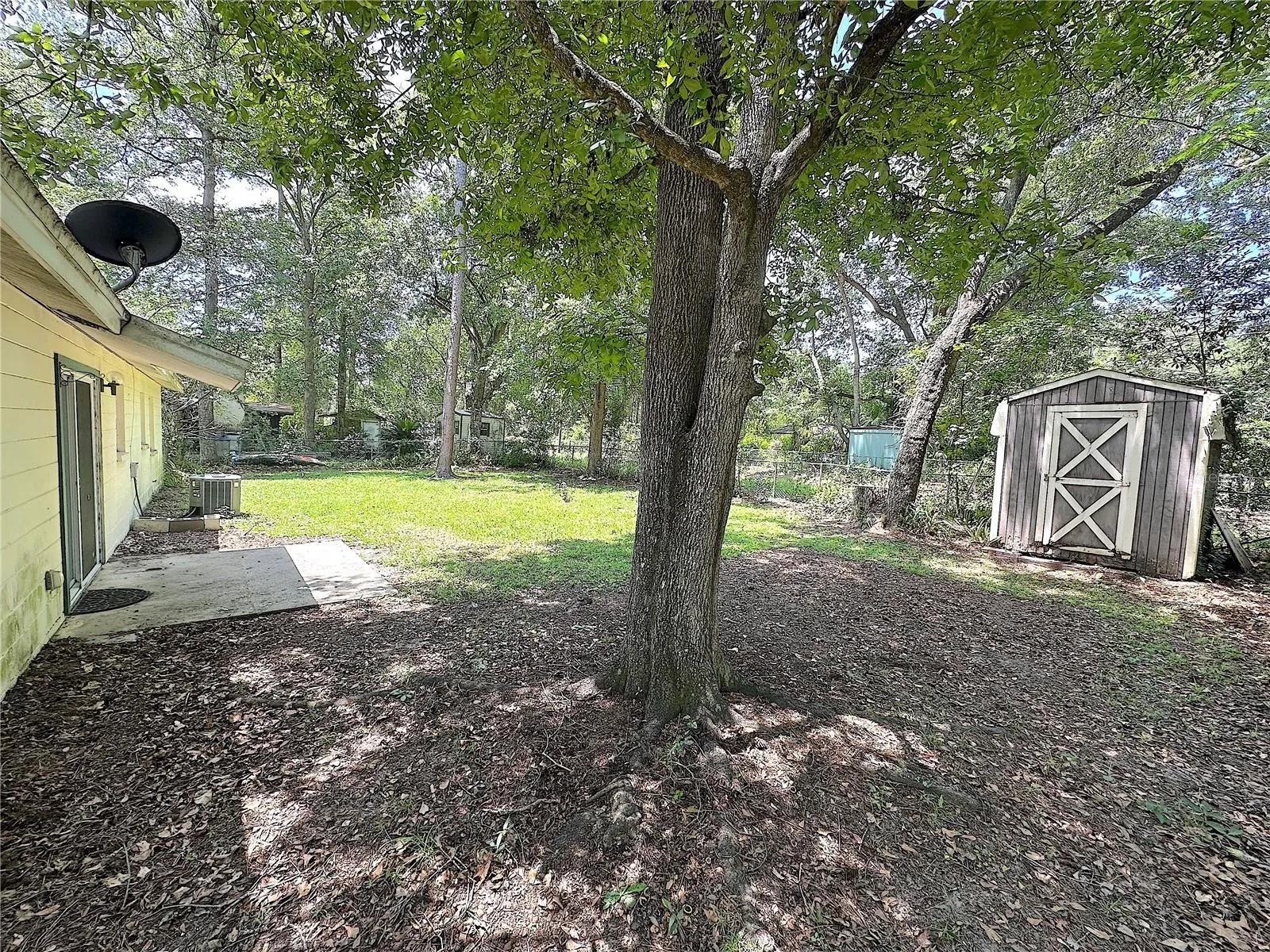 Back Yard angle 2