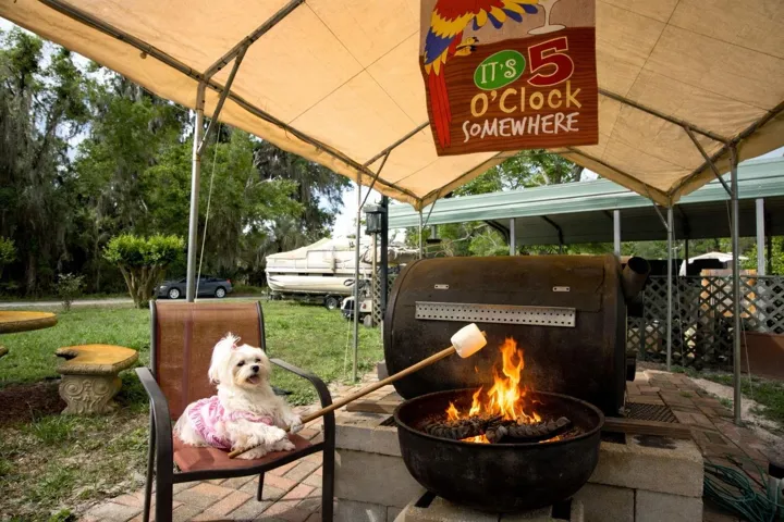 For Lil Dottie to roast you a tasty marshmallow
