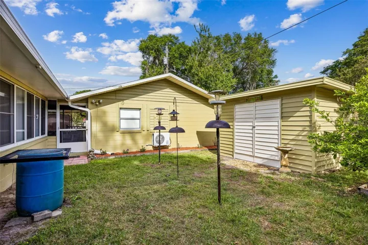 The back yard
