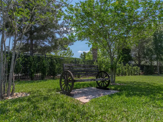 Peaceful Backyard