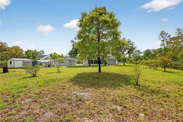 Rear Elevation with Yard