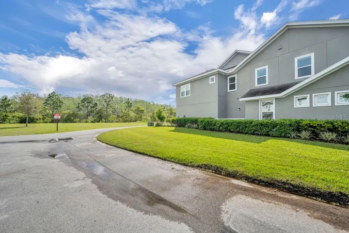 Large maintenance-free side lawn
