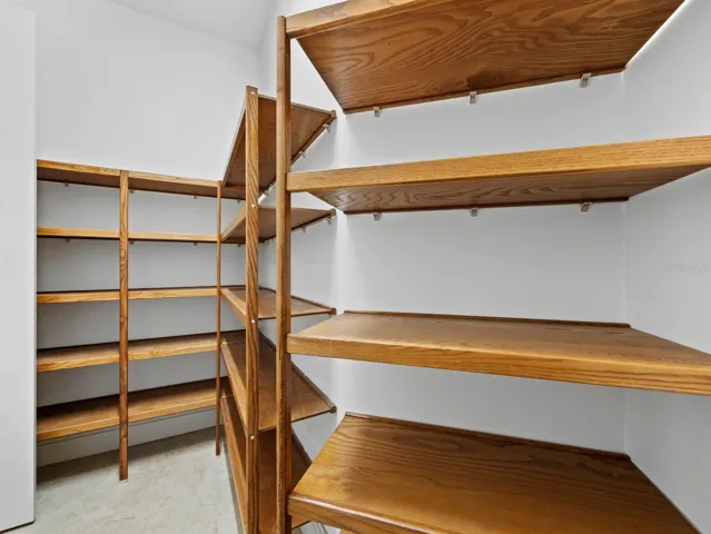 Kitchen walk-in pantry