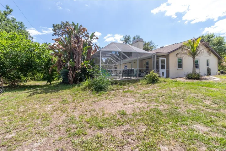 Side & Backyard