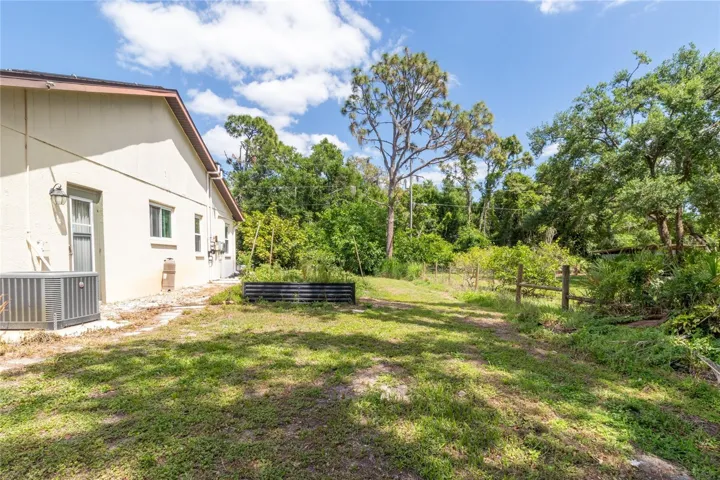 Vegetable Garden