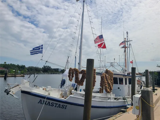 Tarpon Springs Sponge docks