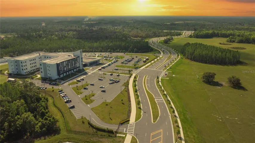 Angeline School of Innovation
