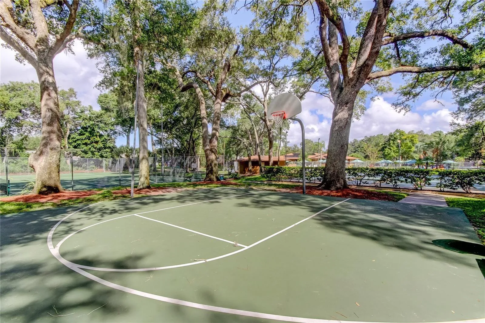Basketball court
