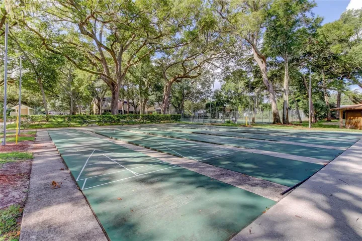 Shuffleboard