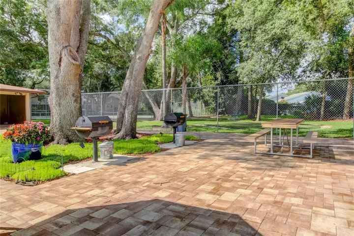 Grill area next to HUGE pool