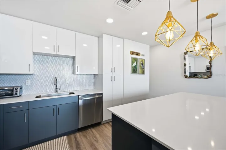 Kitchen cabinet & pantry storage