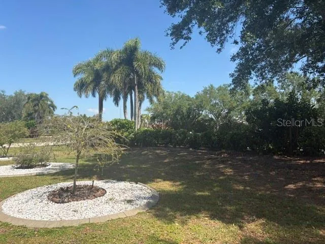 North side of the yard with new planting along the right border.