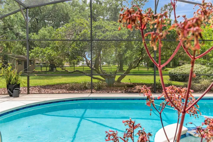 Screened pool overlooking a private, tree-lined backyard with no rear neighbors-offering peaceful views and a exceptional privacy.