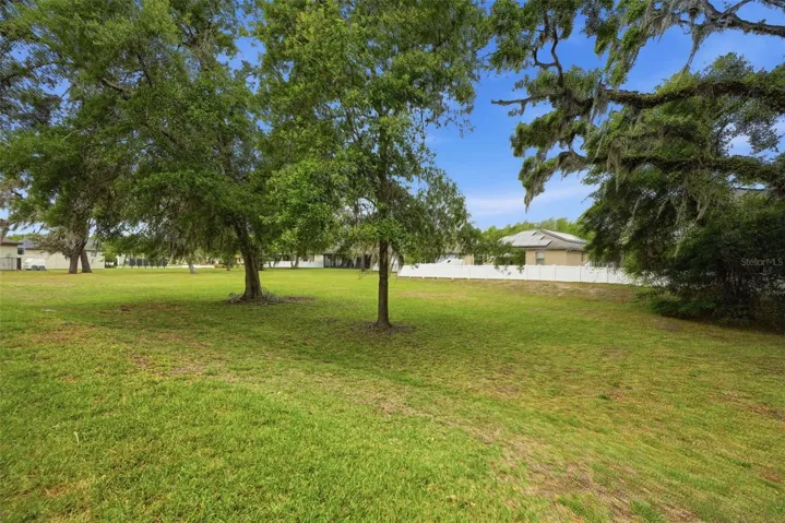 green space behind the home