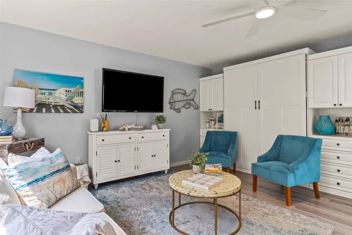 Living room with murphy bed closed