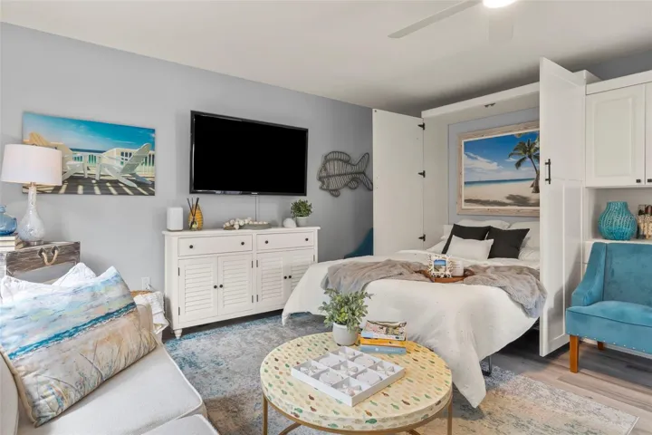 Living Room with murphy bed open