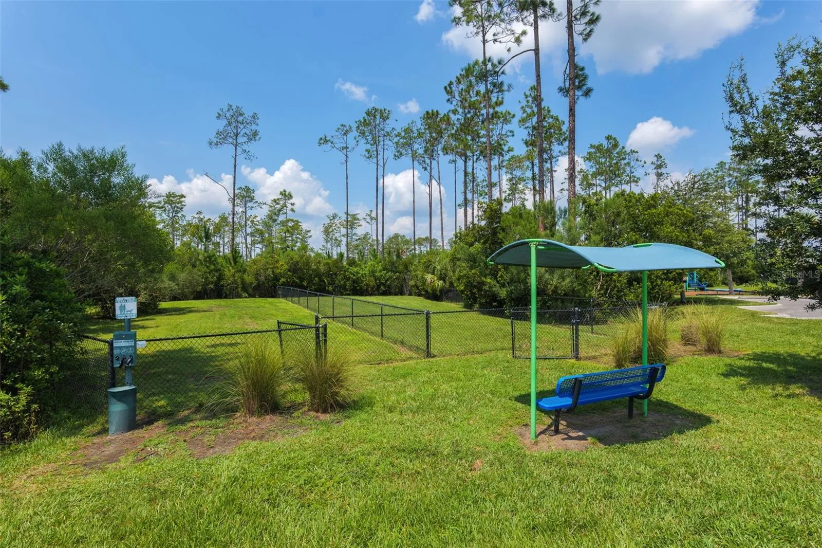 Neighborhood / Amenities