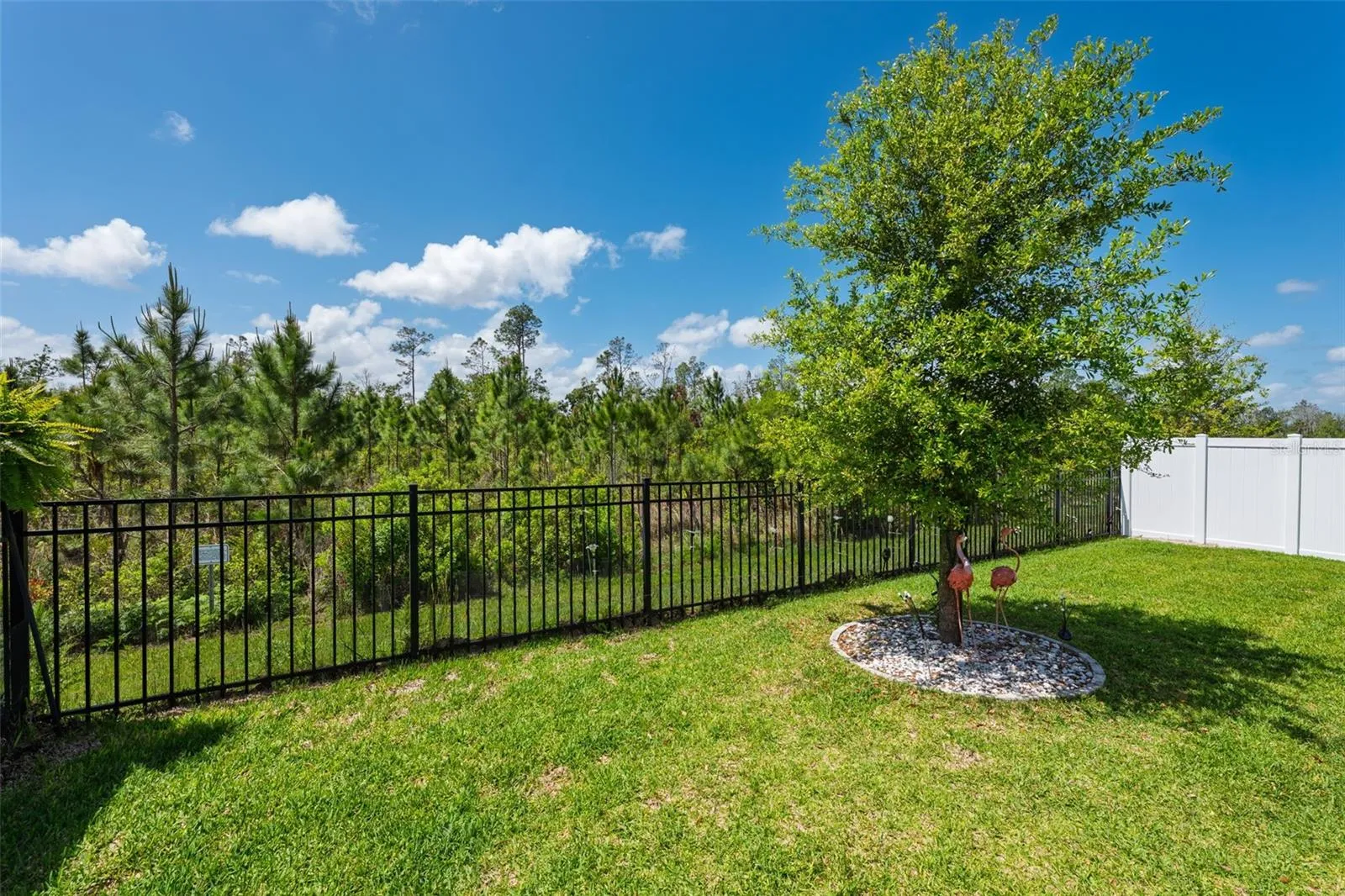 Back Patio / Yard