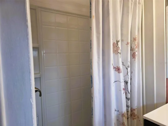 Shower for Master Bath